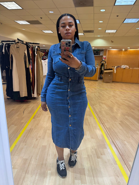 Long Sleeve Denim Dress (Medium Wash)