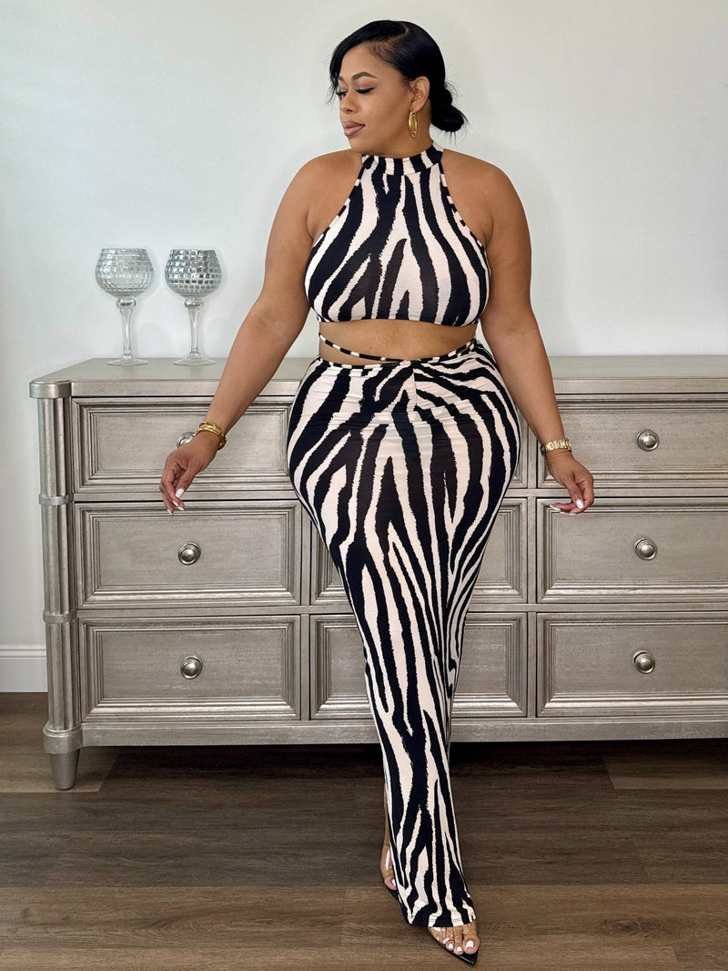 Zebra Print Crop Top And Skirt Set